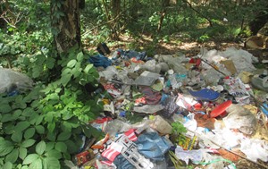 Wilde Müllablagerungen verursachen der Allgemeinheit hohe Kosten